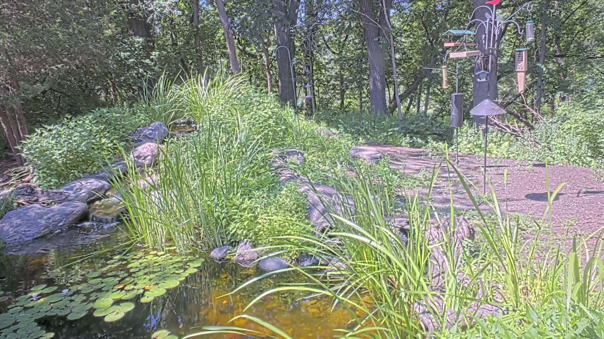 Bloomington, Richardson Nature Center Live Cam – Bloomington, Hennepin, Minnesota, USA