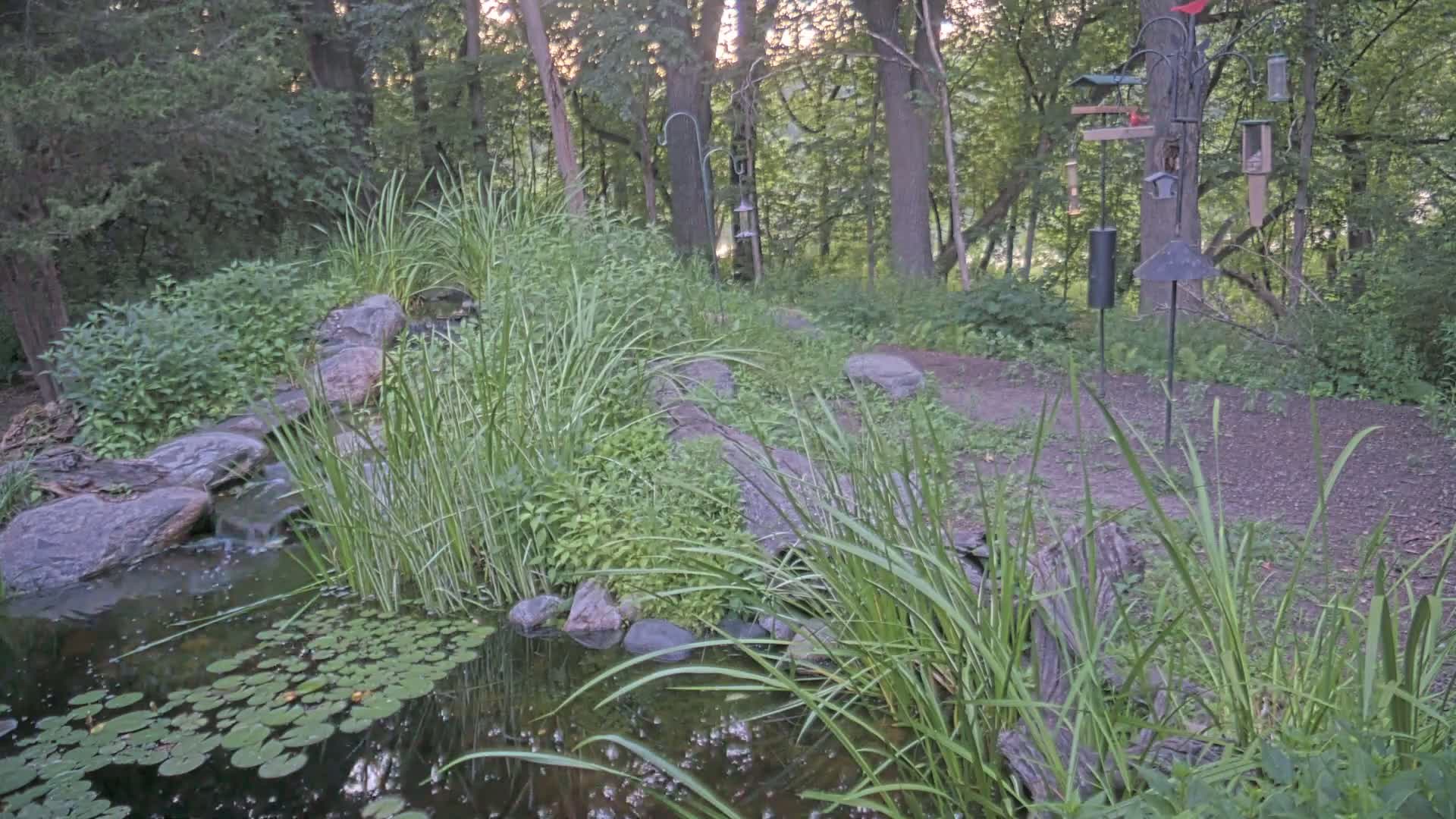 Bloomington, Richardson Nature Center Live Cam – Bloomington, Hennepin, Minnesota, USA