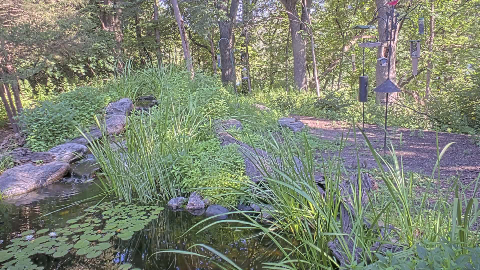 Bloomington, Richardson Nature Center Live Cam – Bloomington, Hennepin, Minnesota, USA