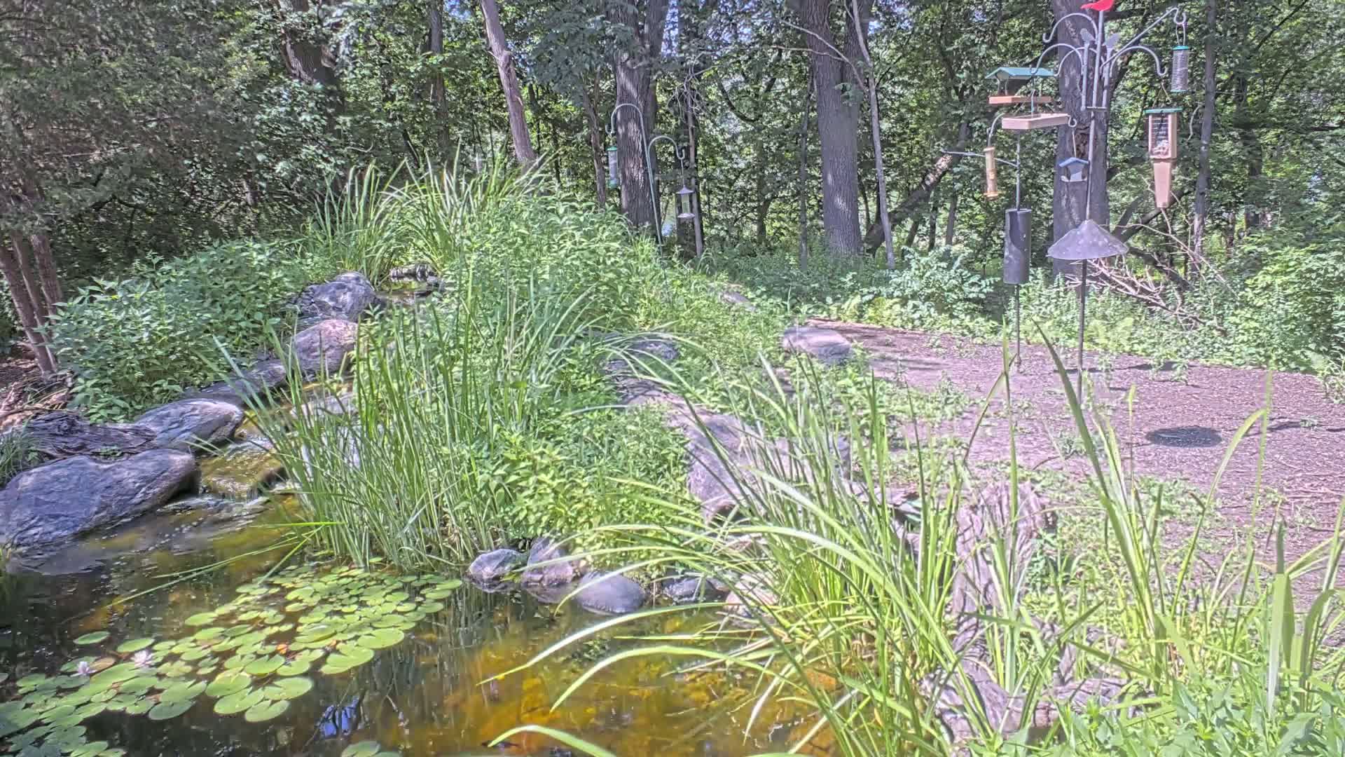 Bloomington, Richardson Nature Center Live Cam – Bloomington, Hennepin, Minnesota, USA