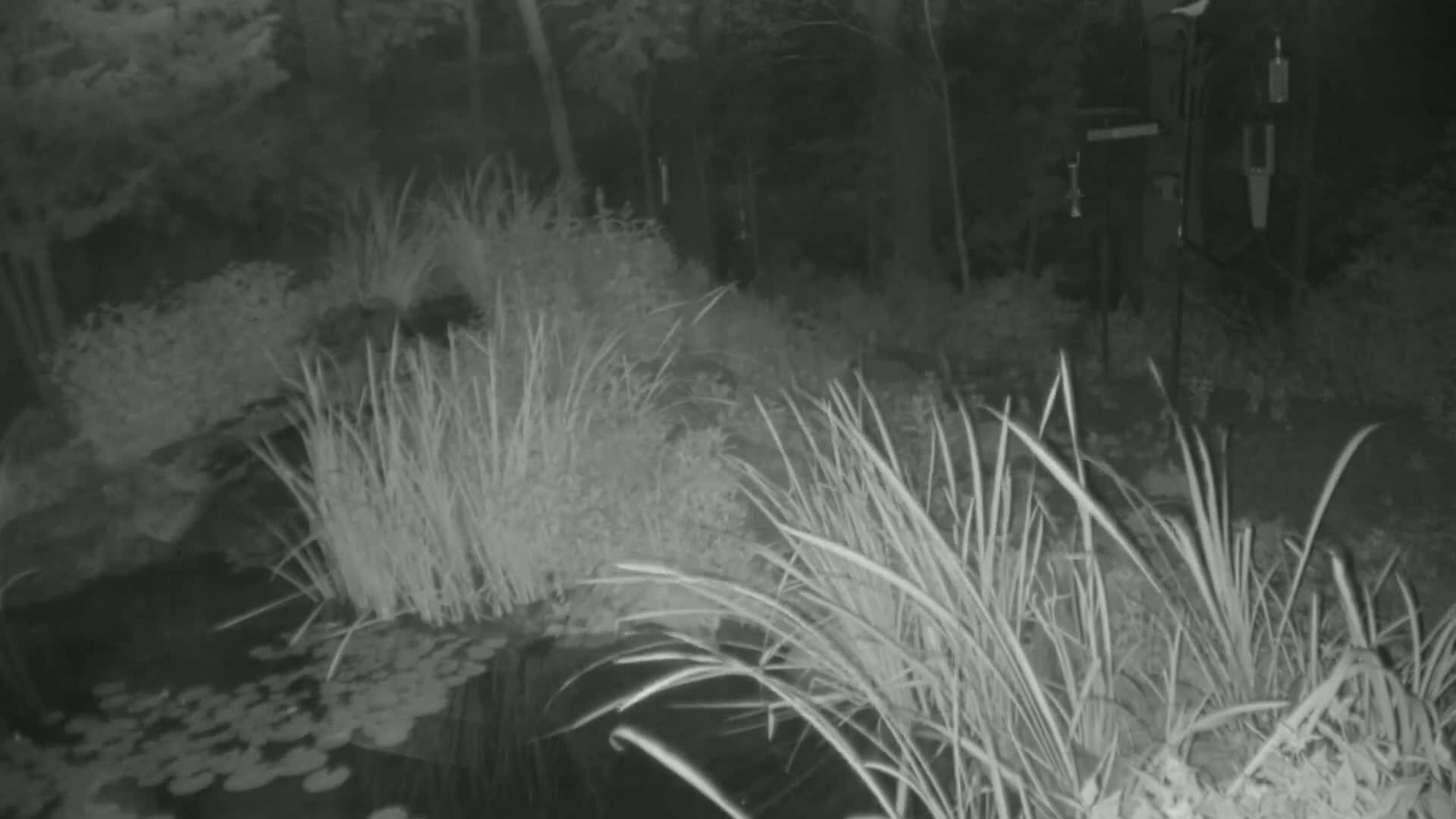 Bloomington, Richardson Nature Center Live Cam – Bloomington, Hennepin, Minnesota, USA