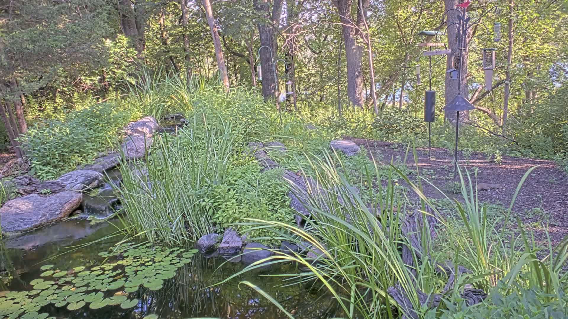 Bloomington, Richardson Nature Center Live Cam – Bloomington, Hennepin, Minnesota, USA