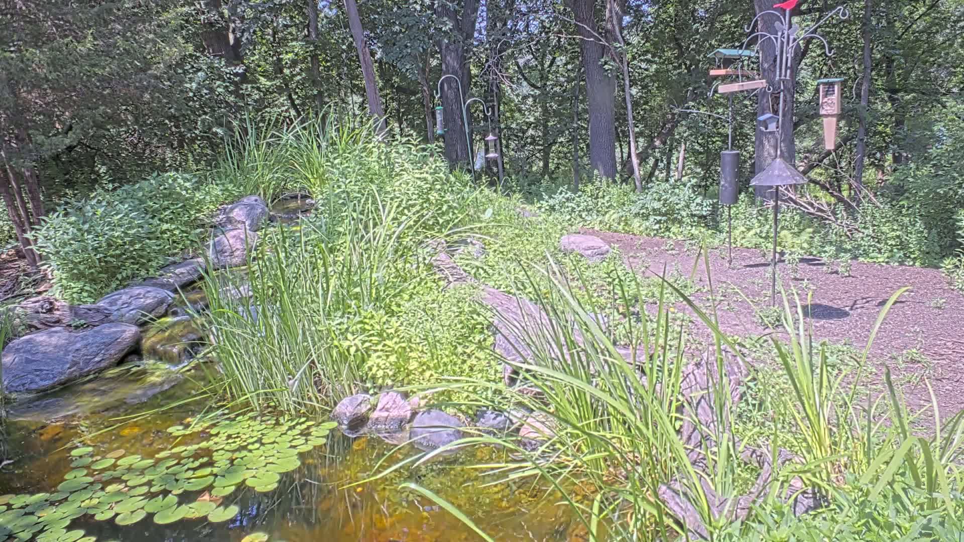 Bloomington, Richardson Nature Center Live Cam – Bloomington, Hennepin, Minnesota, USA