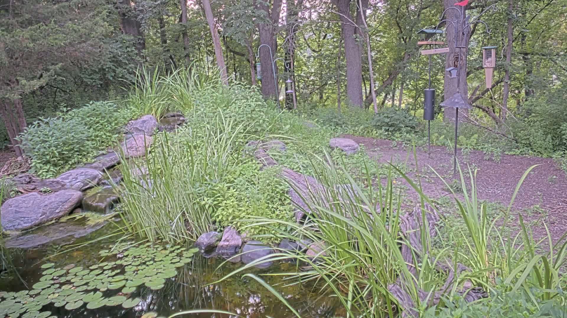 Bloomington, Richardson Nature Center Live Cam – Bloomington, Hennepin, Minnesota, USA