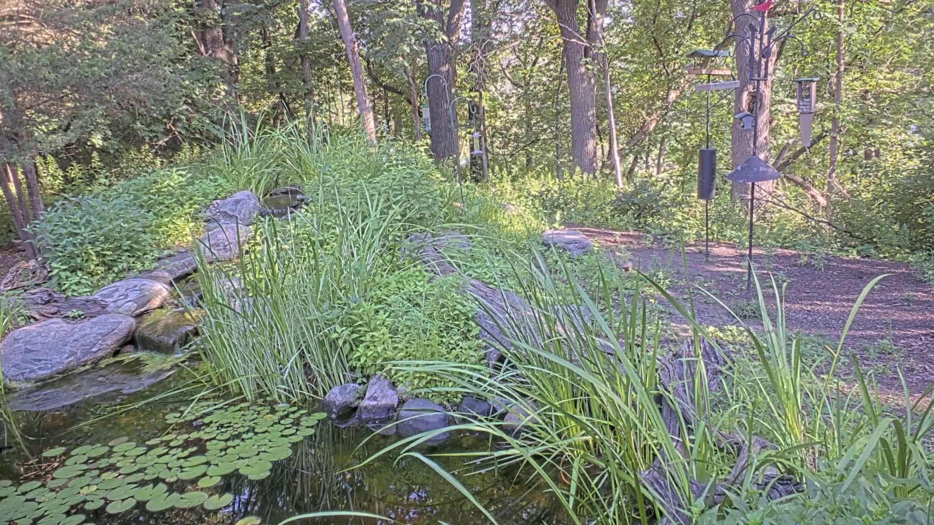 Bloomington, Richardson Nature Center Live Cam – Bloomington, Hennepin, Minnesota, USA