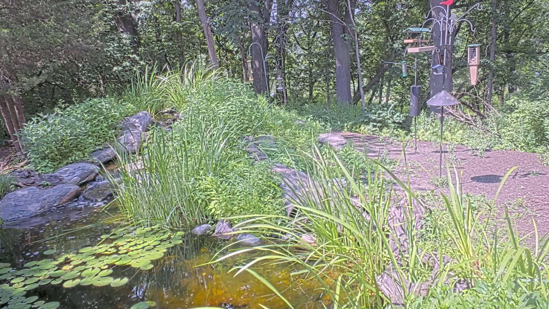 Bloomington, Richardson Nature Center Live Cam – Bloomington, Hennepin, Minnesota, USA