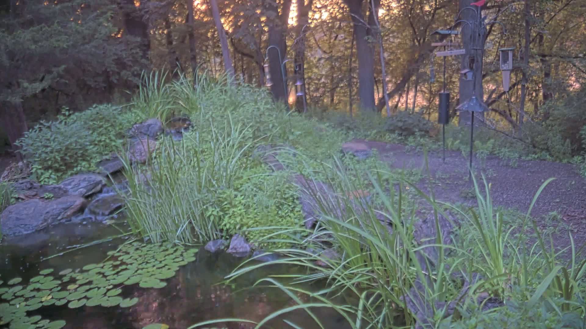 Bloomington, Richardson Nature Center Live Cam – Bloomington, Hennepin, Minnesota, USA