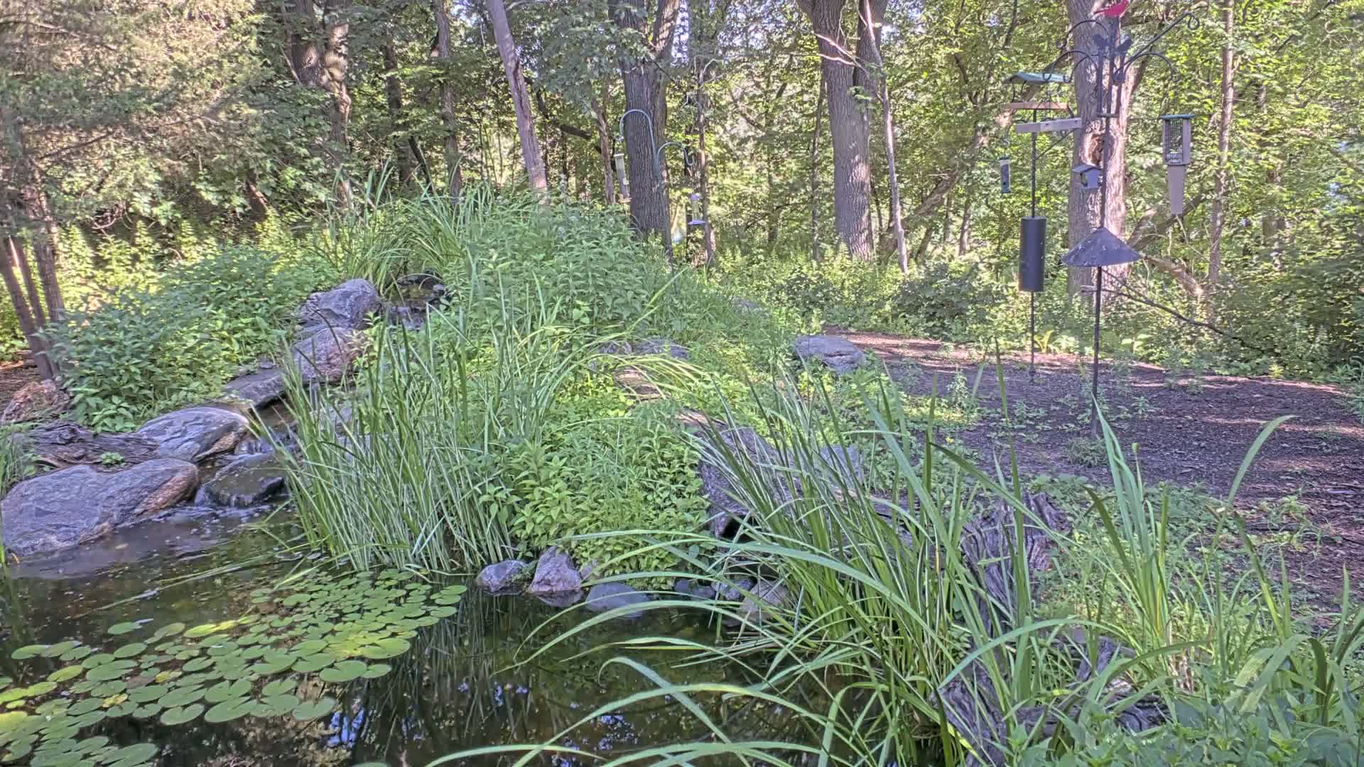 Bloomington, Richardson Nature Center Live Cam – Bloomington, Hennepin, Minnesota, USA