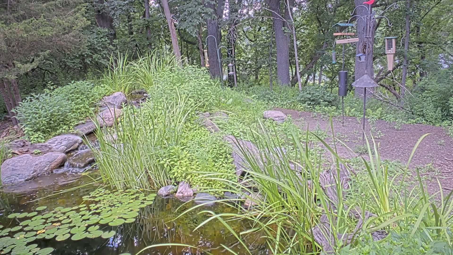 Bloomington, Richardson Nature Center Live Cam – Bloomington, Hennepin, Minnesota, USA