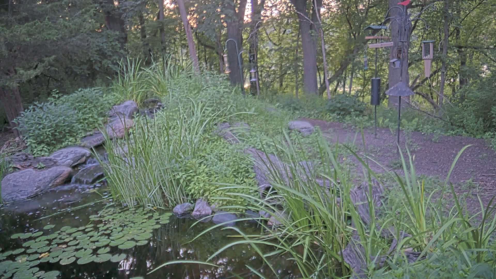 Bloomington, Richardson Nature Center Live Cam – Bloomington, Hennepin, Minnesota, USA
