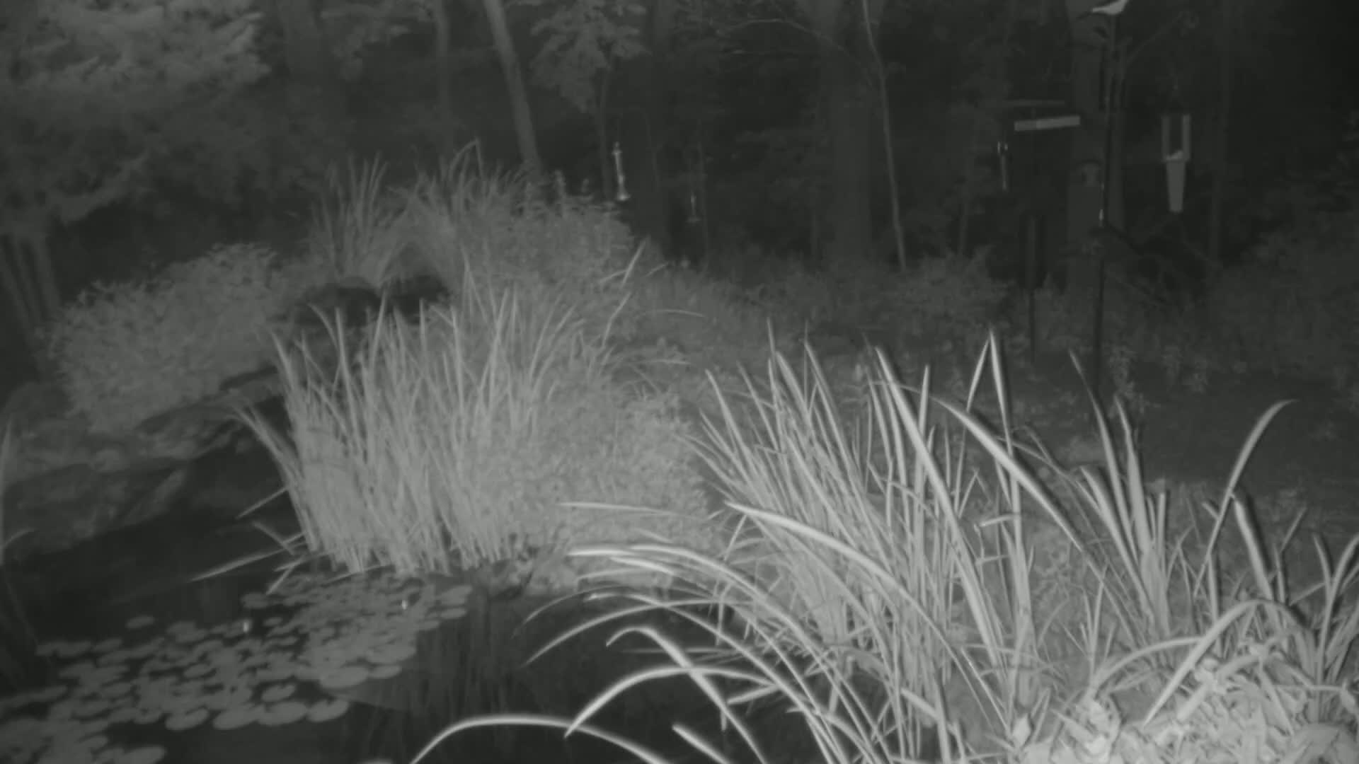 Bloomington, Richardson Nature Center Live Cam – Bloomington, Hennepin, Minnesota, USA