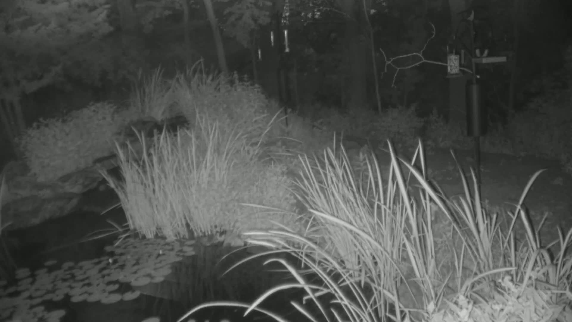 Bloomington, Richardson Nature Center Live Cam – Bloomington, Hennepin, Minnesota, USA