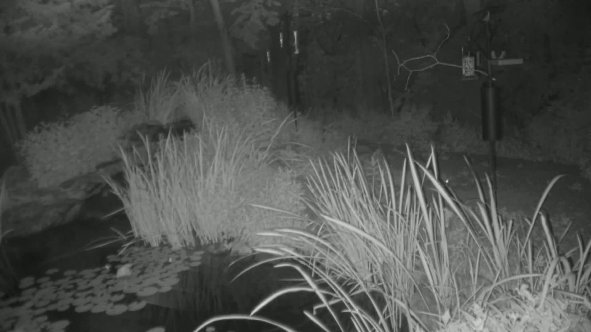 Bloomington, Richardson Nature Center Live Cam – Bloomington, Hennepin, Minnesota, USA