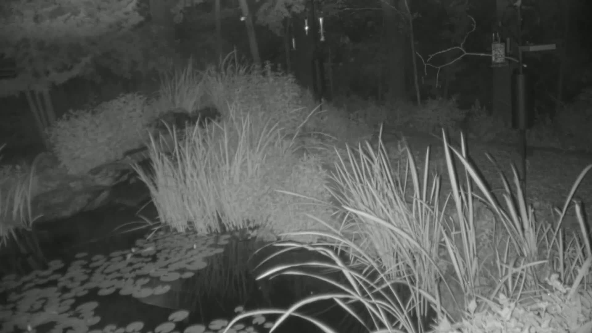 Bloomington, Richardson Nature Center Live Cam – Bloomington, Hennepin, Minnesota, USA