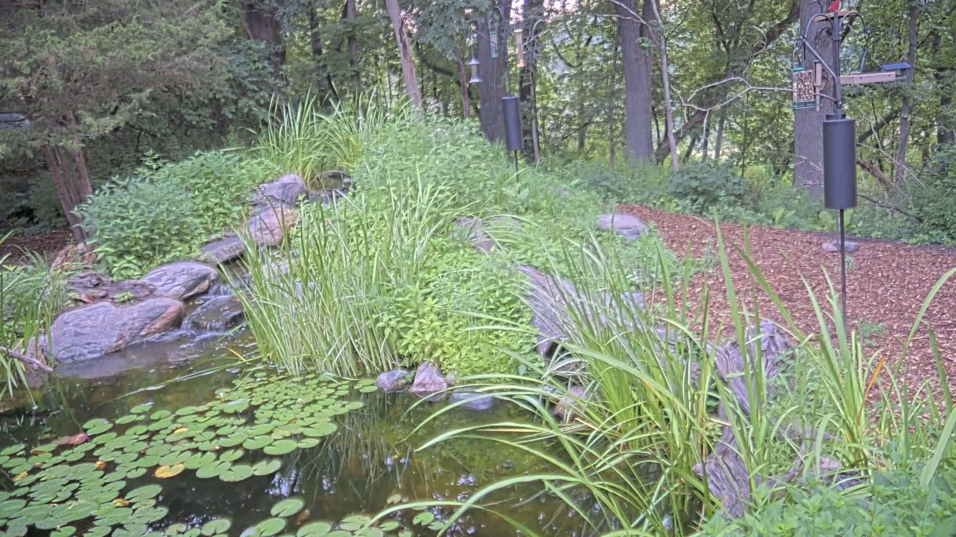Bloomington, Richardson Nature Center Live Cam – Bloomington, Hennepin, Minnesota, USA