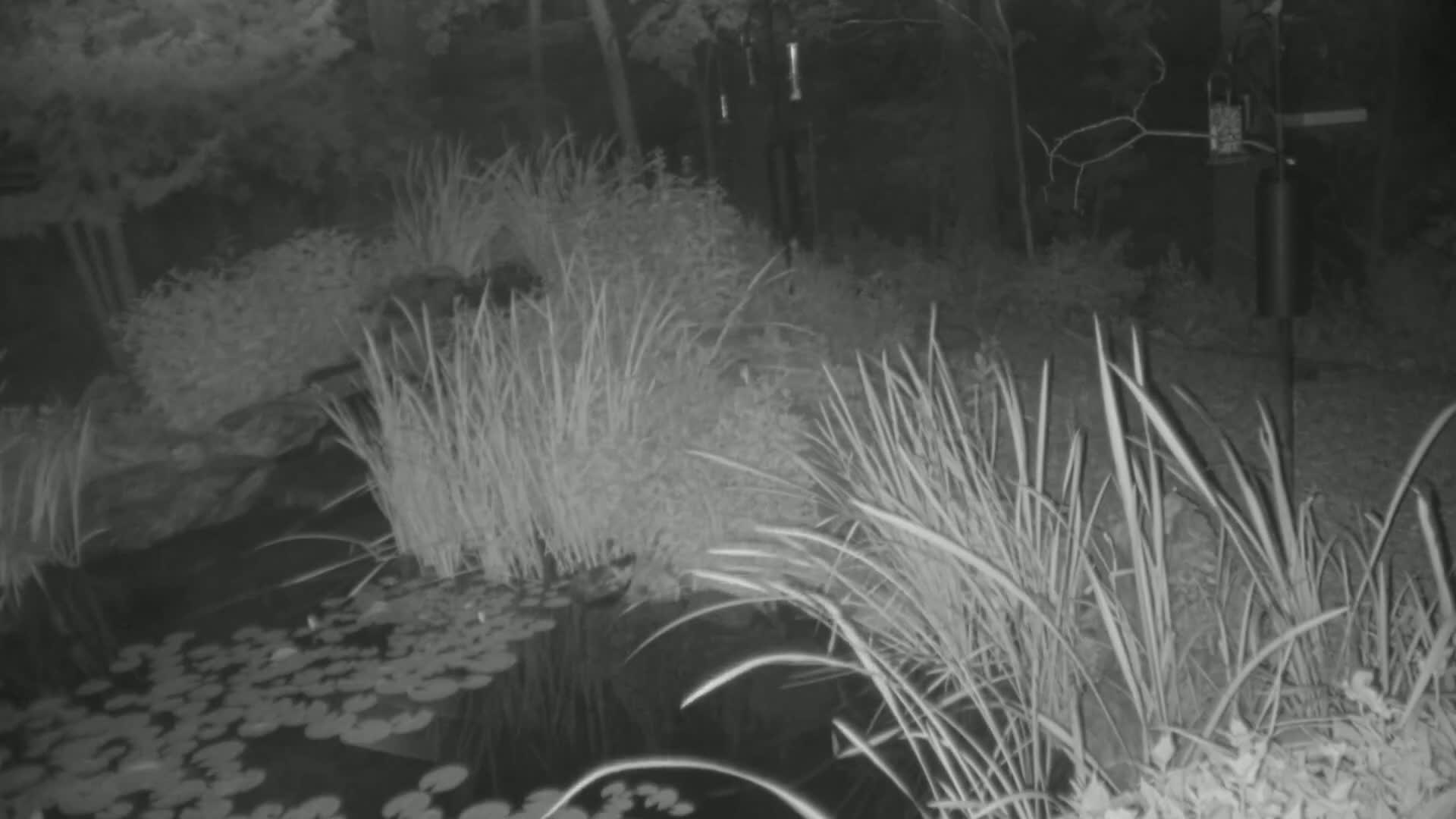 Bloomington, Richardson Nature Center Live Cam – Bloomington, Hennepin, Minnesota, USA