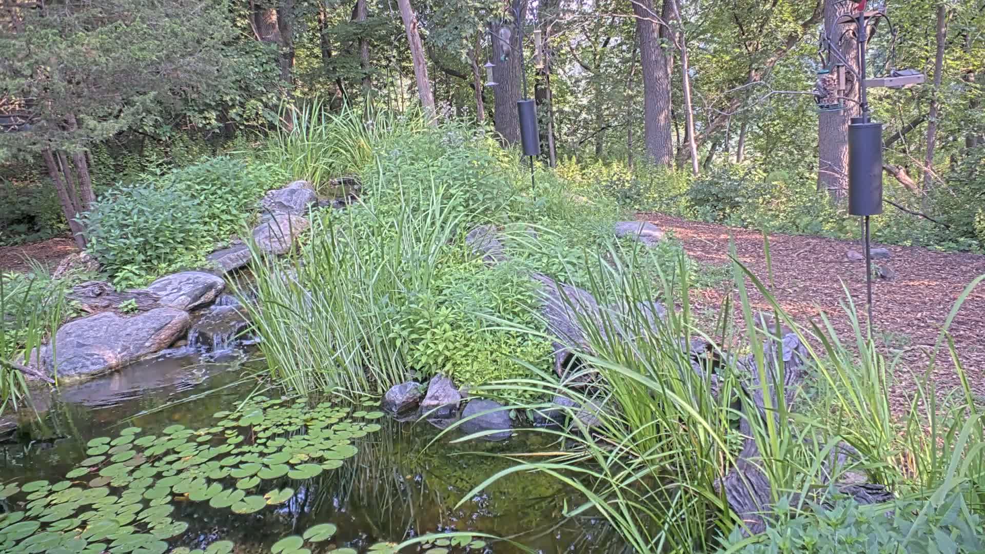 Bloomington, Richardson Nature Center Live Cam – Bloomington, Hennepin, Minnesota, USA