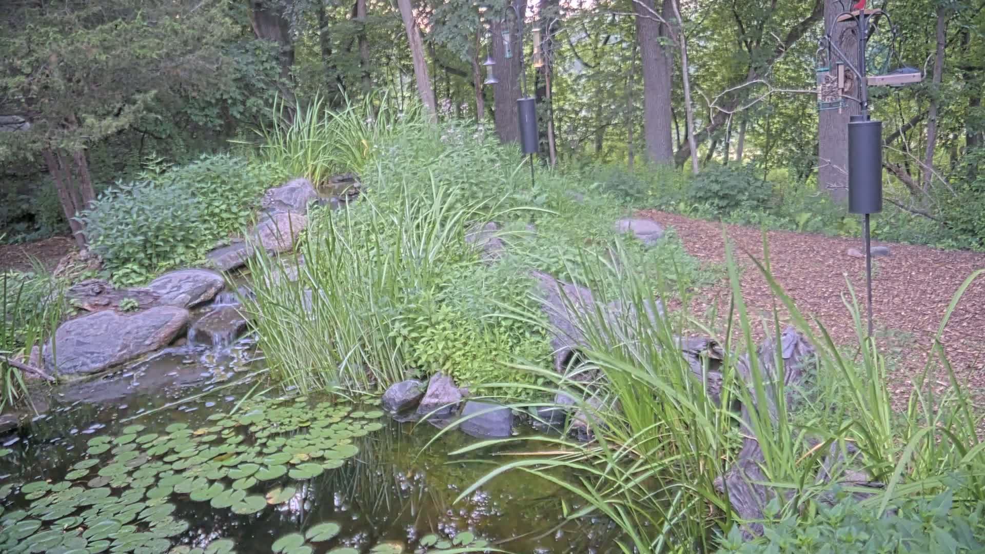 Bloomington, Richardson Nature Center Live Cam – Bloomington, Hennepin, Minnesota, USA