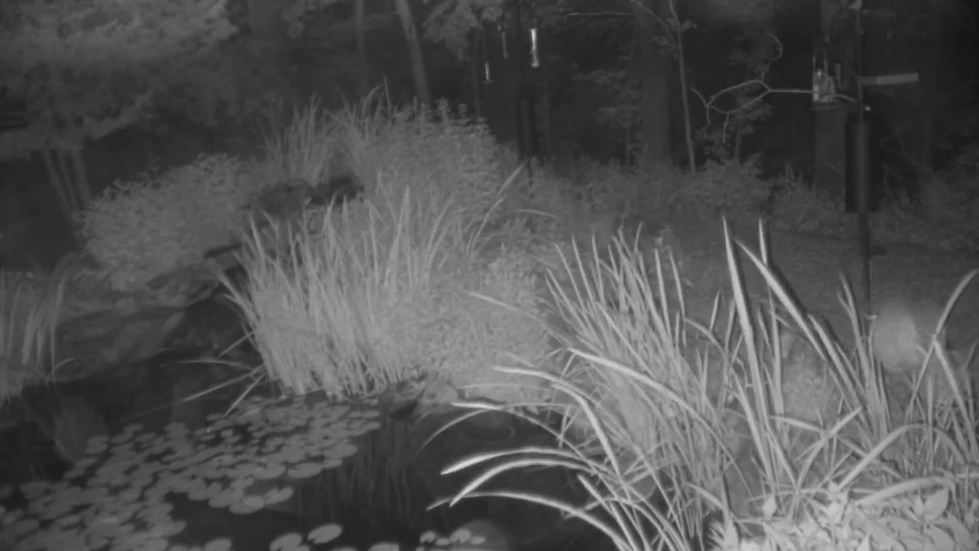 Bloomington, Richardson Nature Center Live Cam – Bloomington, Hennepin, Minnesota, USA