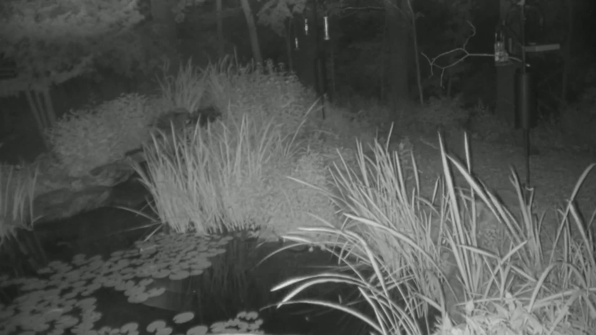 Bloomington, Richardson Nature Center Live Cam – Bloomington, Hennepin, Minnesota, USA