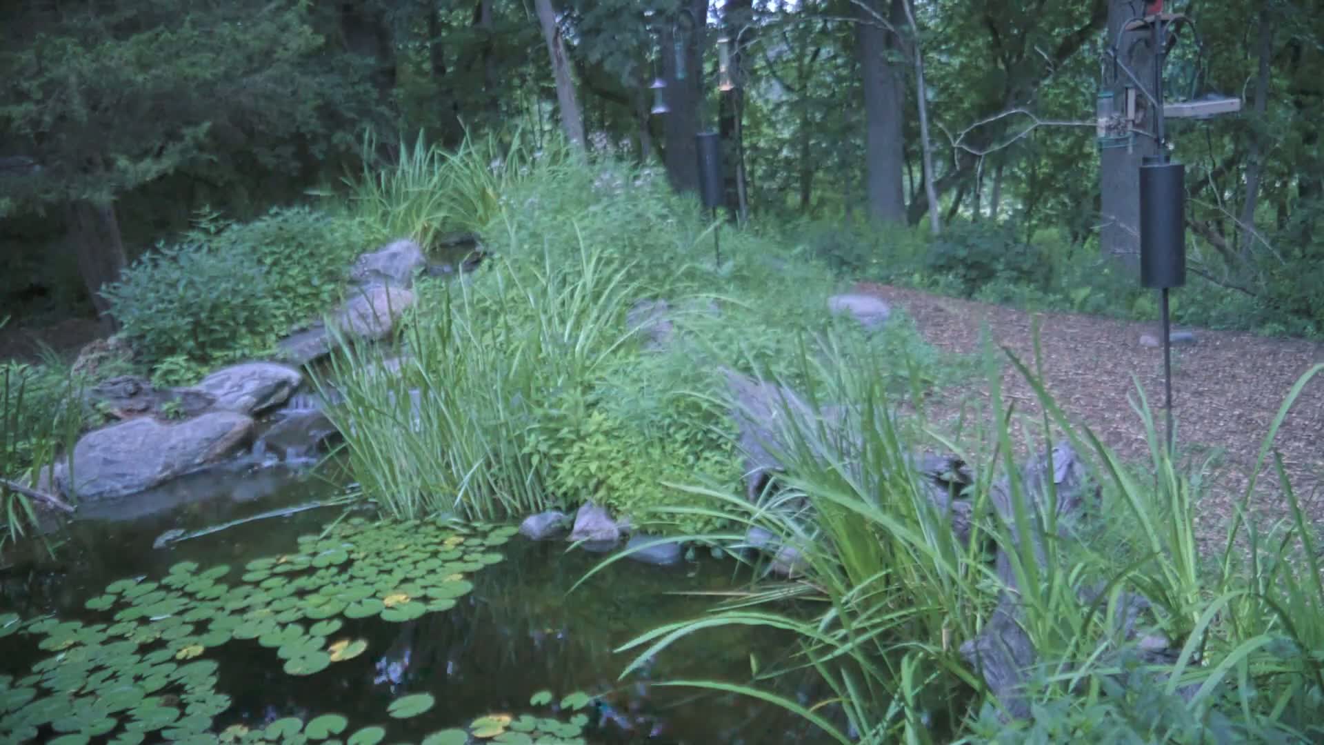 Bloomington, Richardson Nature Center Live Cam – Bloomington, Hennepin, Minnesota, USA