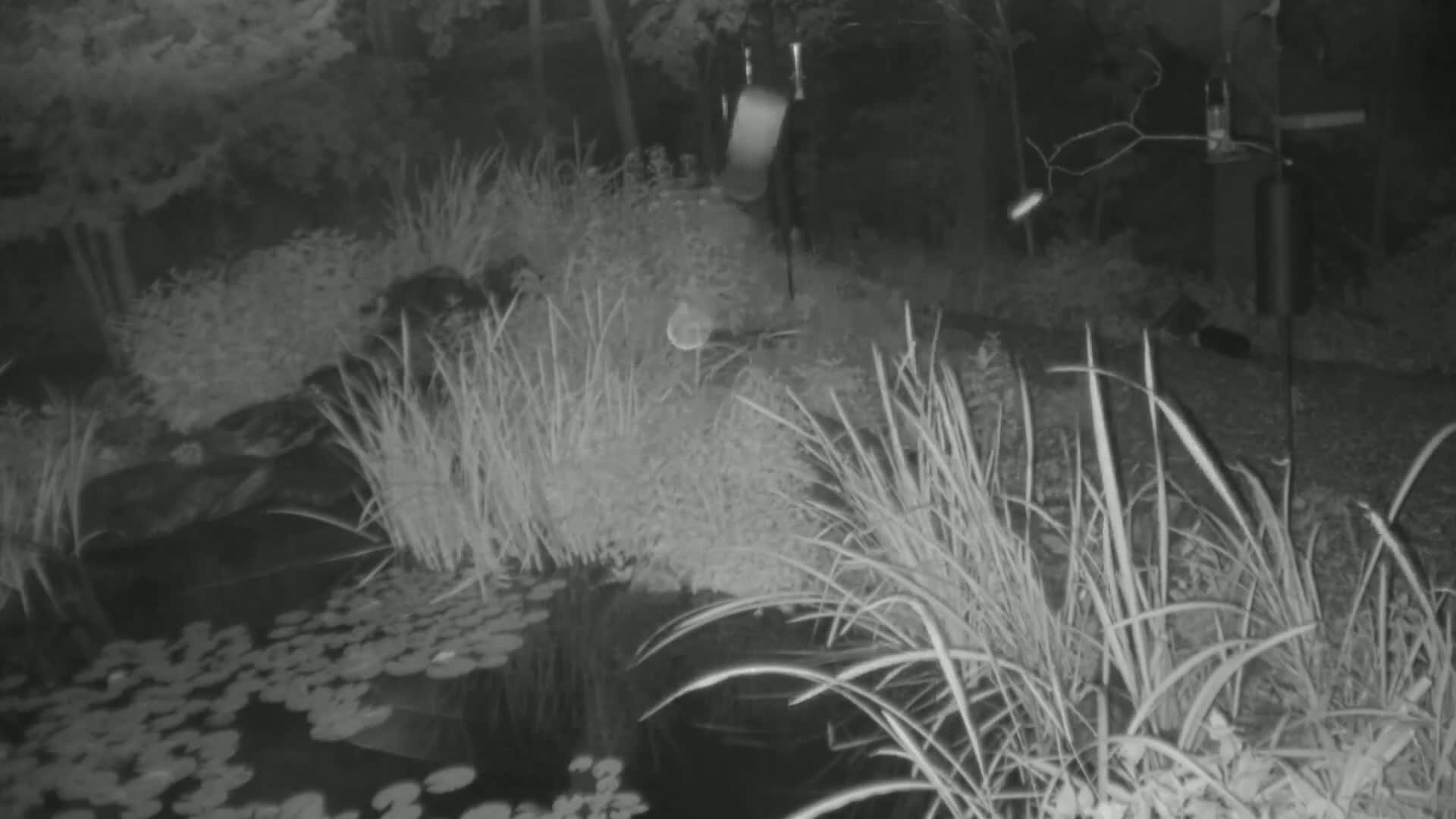 Bloomington, Richardson Nature Center Live Cam – Bloomington, Hennepin, Minnesota, USA