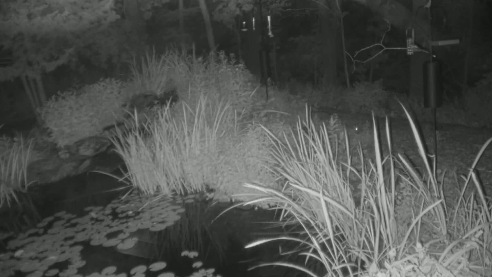 Bloomington, Richardson Nature Center Live Cam – Bloomington, Hennepin, Minnesota, USA