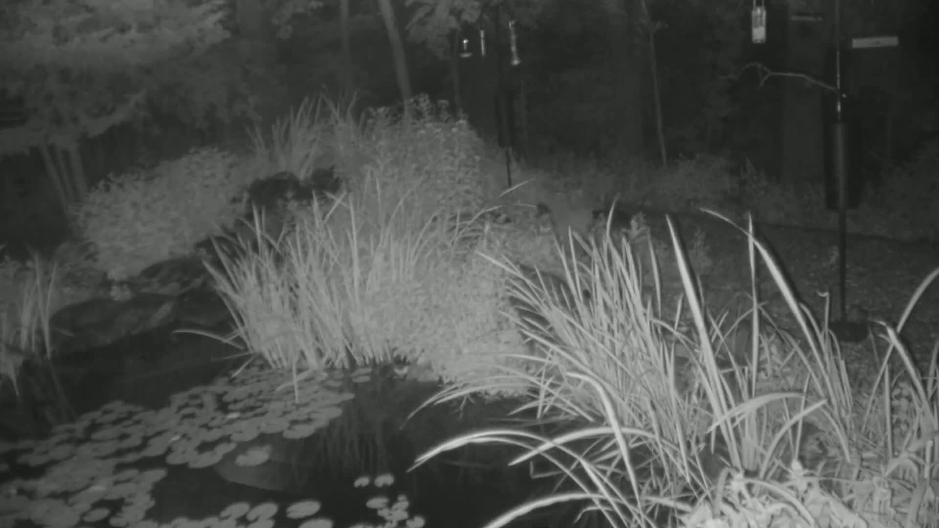 Bloomington, Richardson Nature Center Live Cam – Bloomington, Hennepin, Minnesota, USA