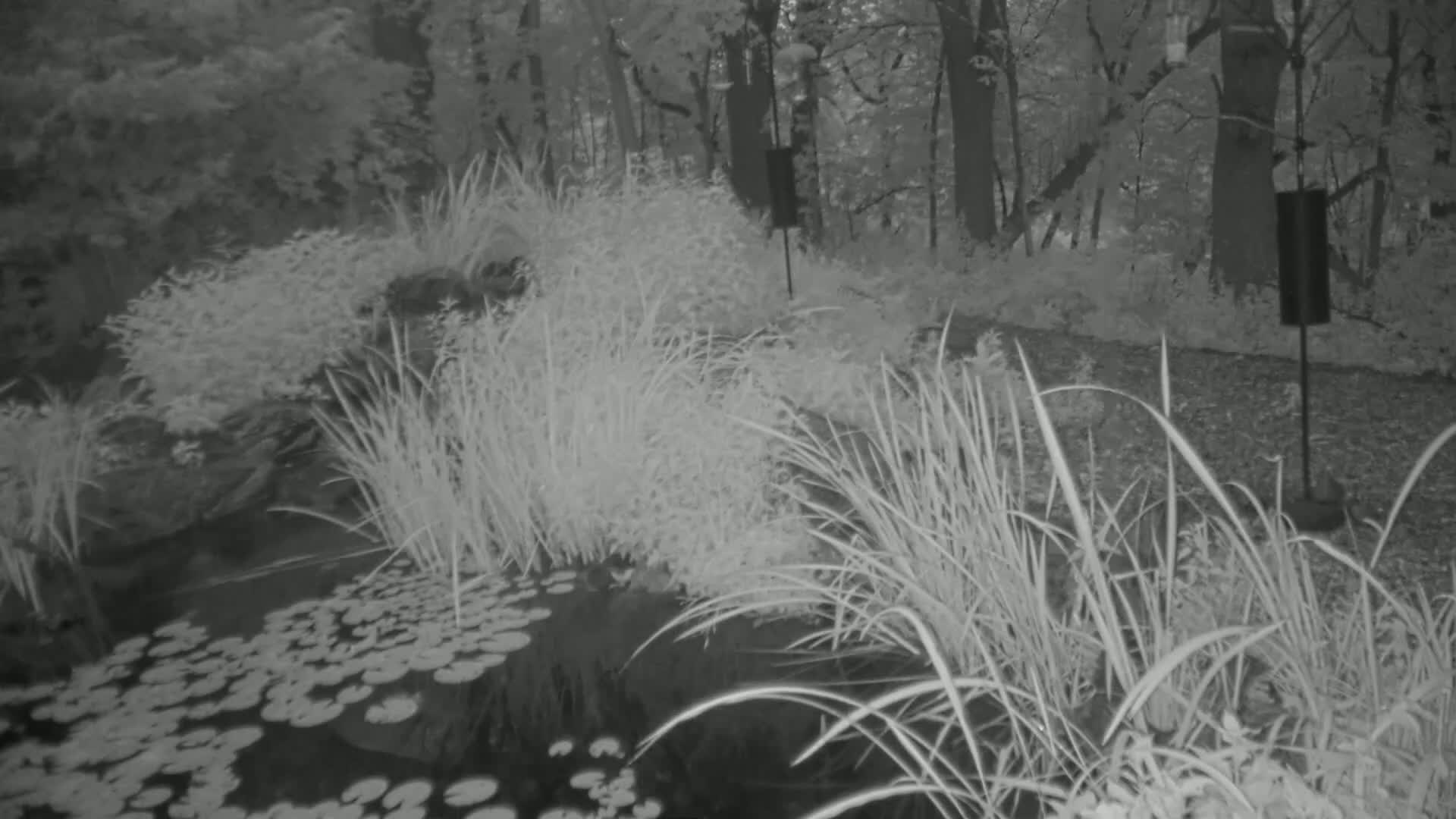 Bloomington, Richardson Nature Center Live Cam – Bloomington, Hennepin, Minnesota, USA