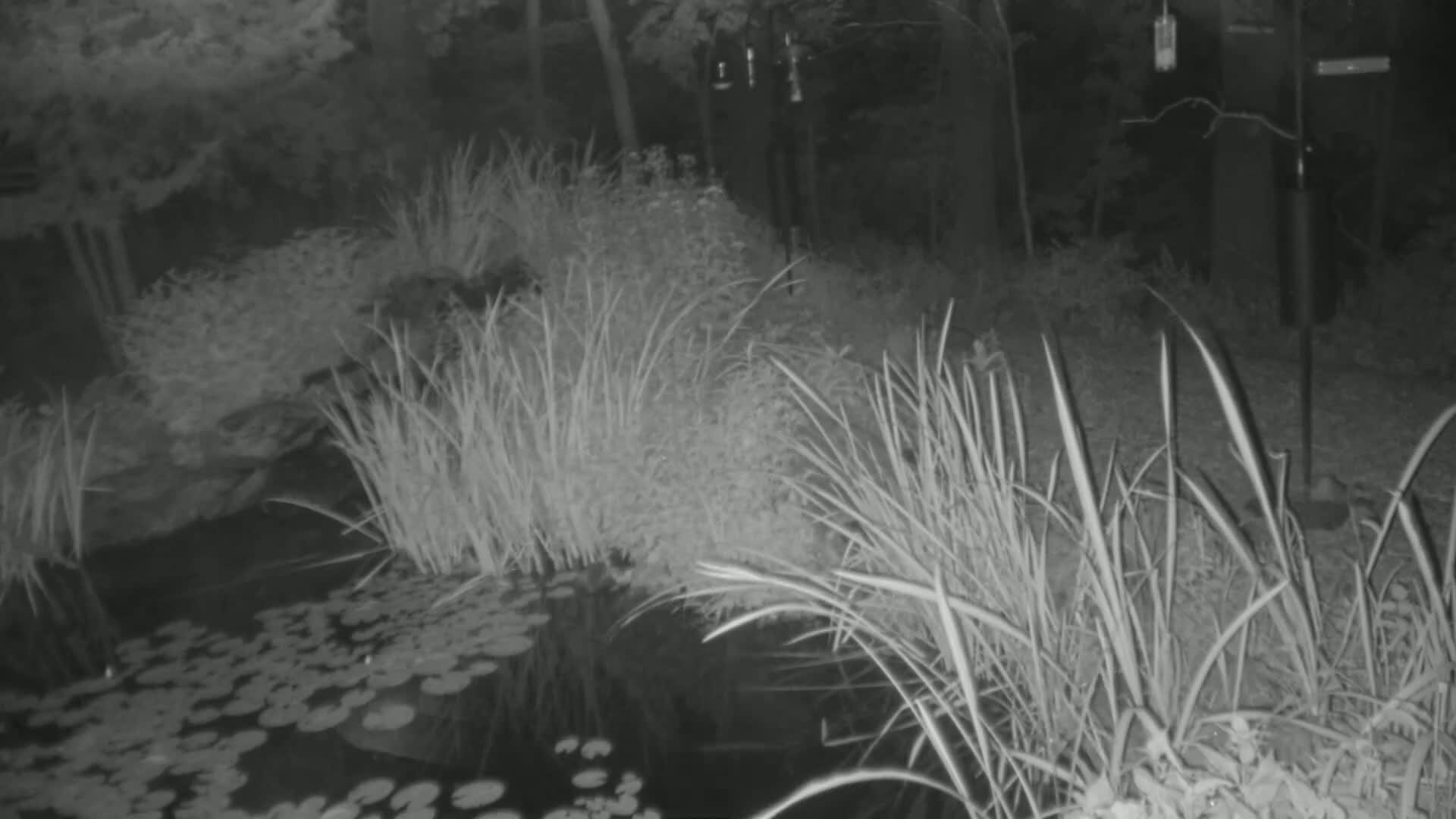 Bloomington, Richardson Nature Center Live Cam – Bloomington, Hennepin, Minnesota, USA