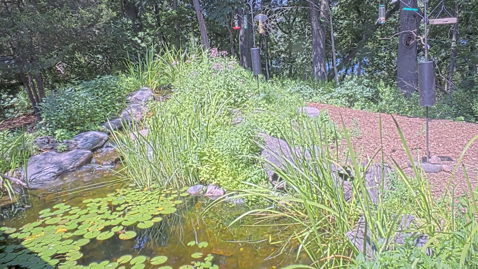 Bloomington, Richardson Nature Center Live Cam – Bloomington, Hennepin, Minnesota, USA