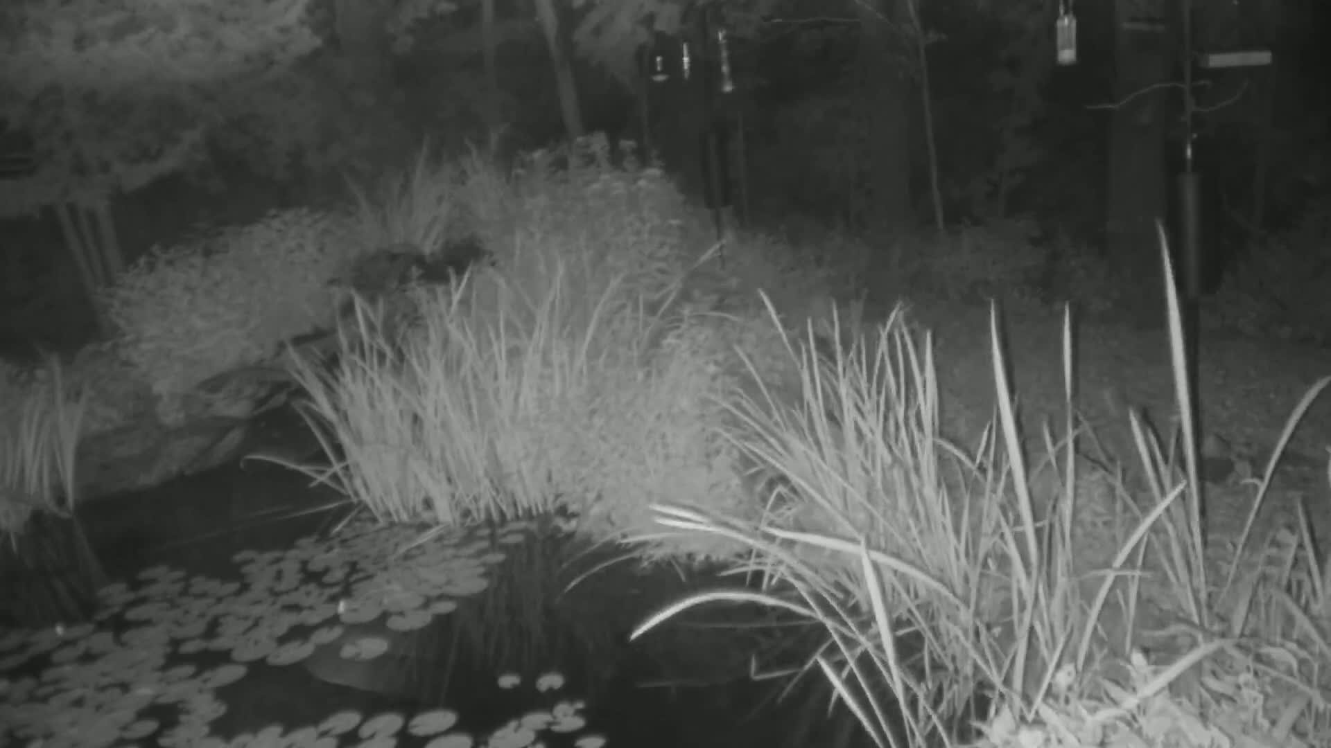 Bloomington, Richardson Nature Center Live Cam – Bloomington, Hennepin, Minnesota, USA