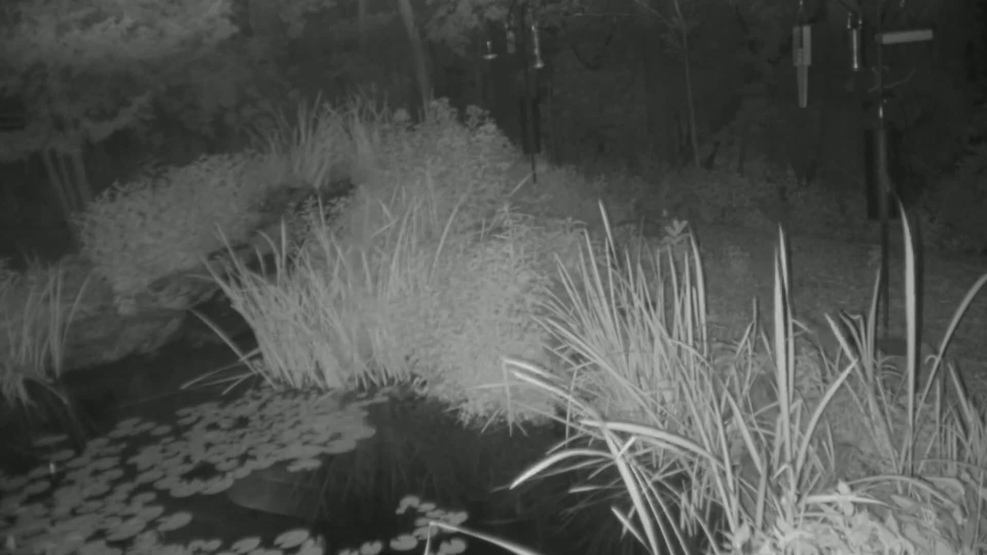 Bloomington, Richardson Nature Center Live Cam – Bloomington, Hennepin, Minnesota, USA