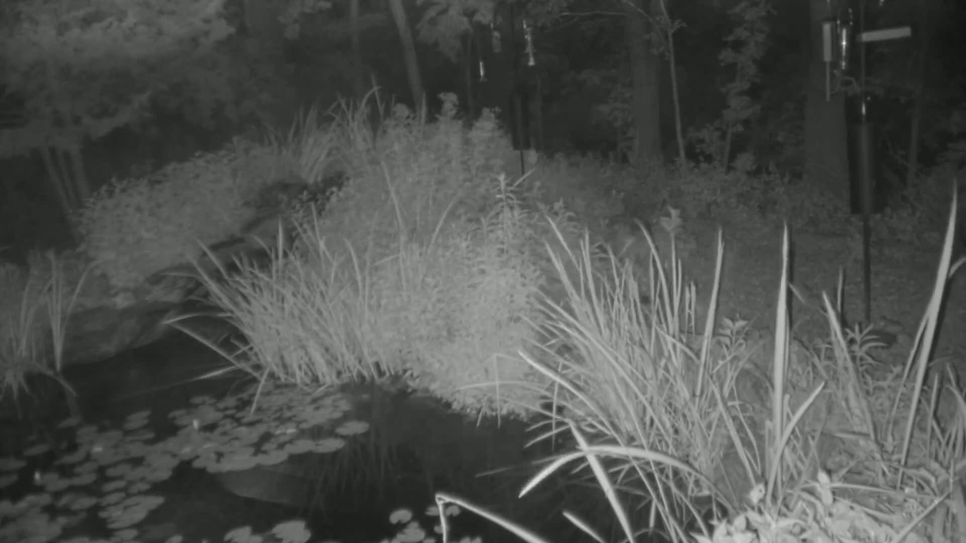 Bloomington, Richardson Nature Center Live Cam – Bloomington, Hennepin, Minnesota, USA