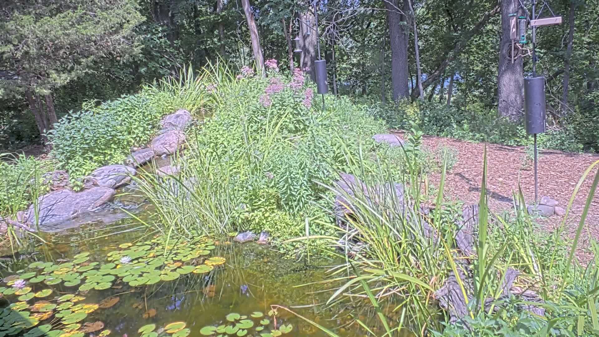 Bloomington, Richardson Nature Center Live Cam – Bloomington, Hennepin, Minnesota, USA