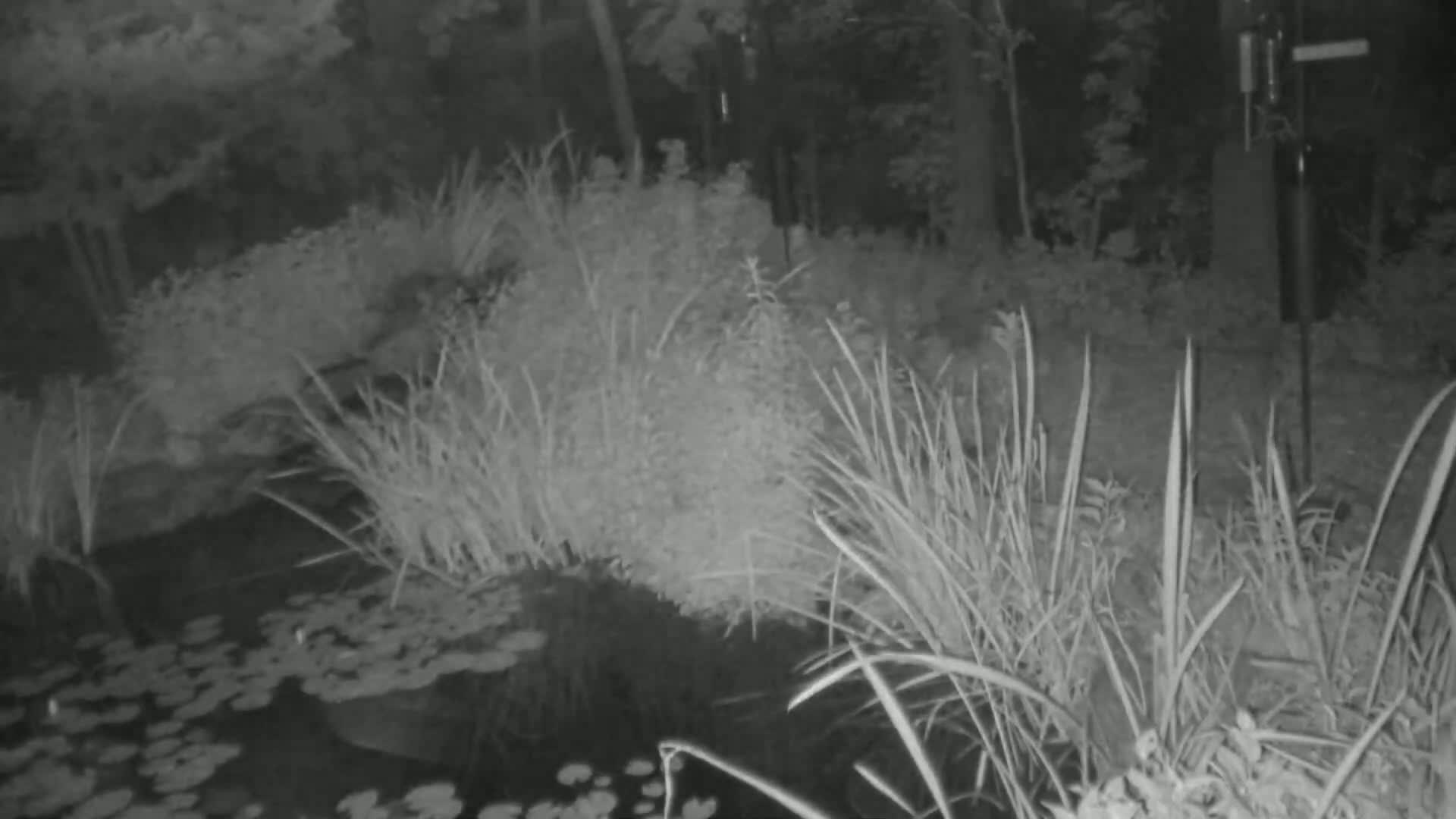 Bloomington, Richardson Nature Center Live Cam – Bloomington, Hennepin, Minnesota, USA