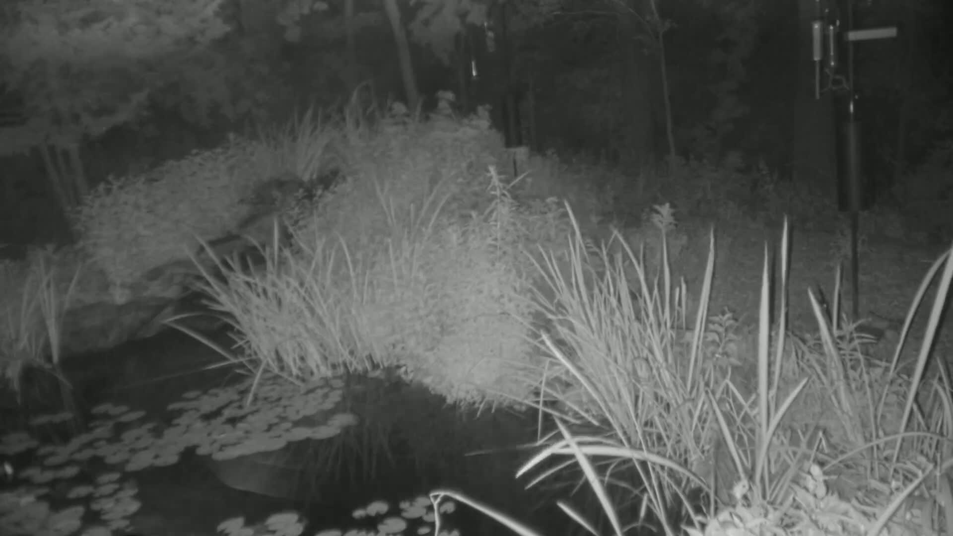 Bloomington, Richardson Nature Center Live Cam – Bloomington, Hennepin, Minnesota, USA