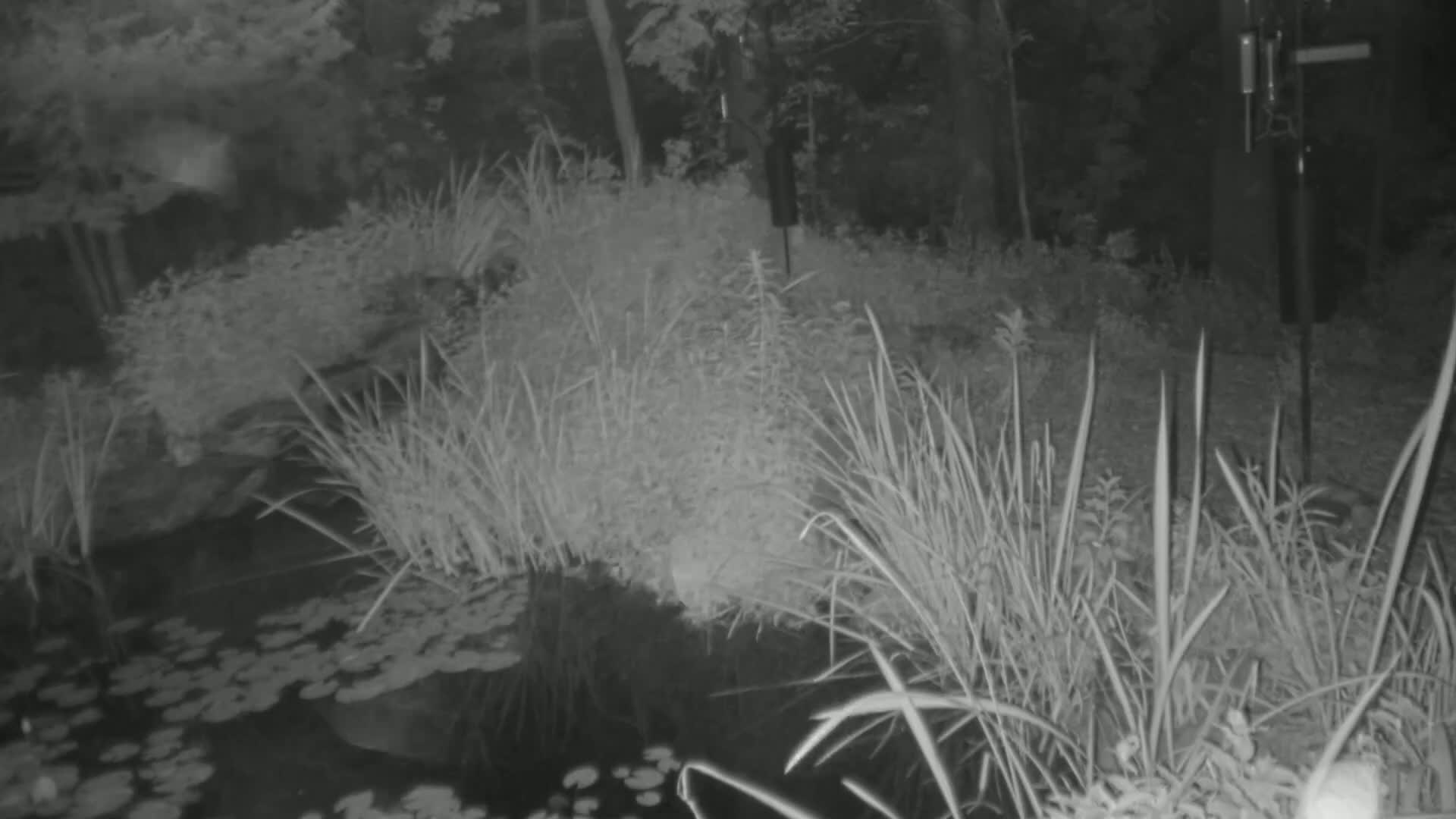 Bloomington, Richardson Nature Center Live Cam – Bloomington, Hennepin, Minnesota, USA