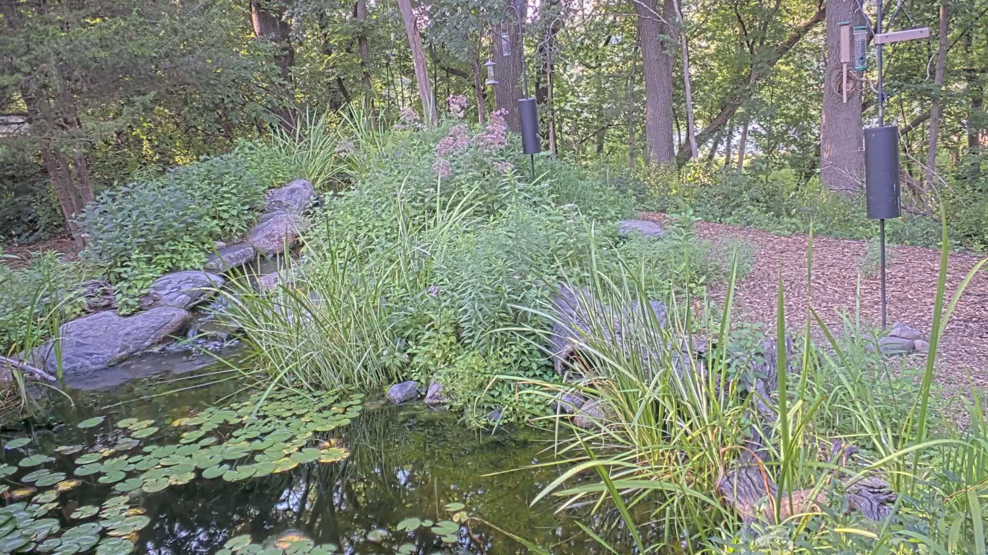 Bloomington, Richardson Nature Center Live Cam – Bloomington, Hennepin, Minnesota, USA