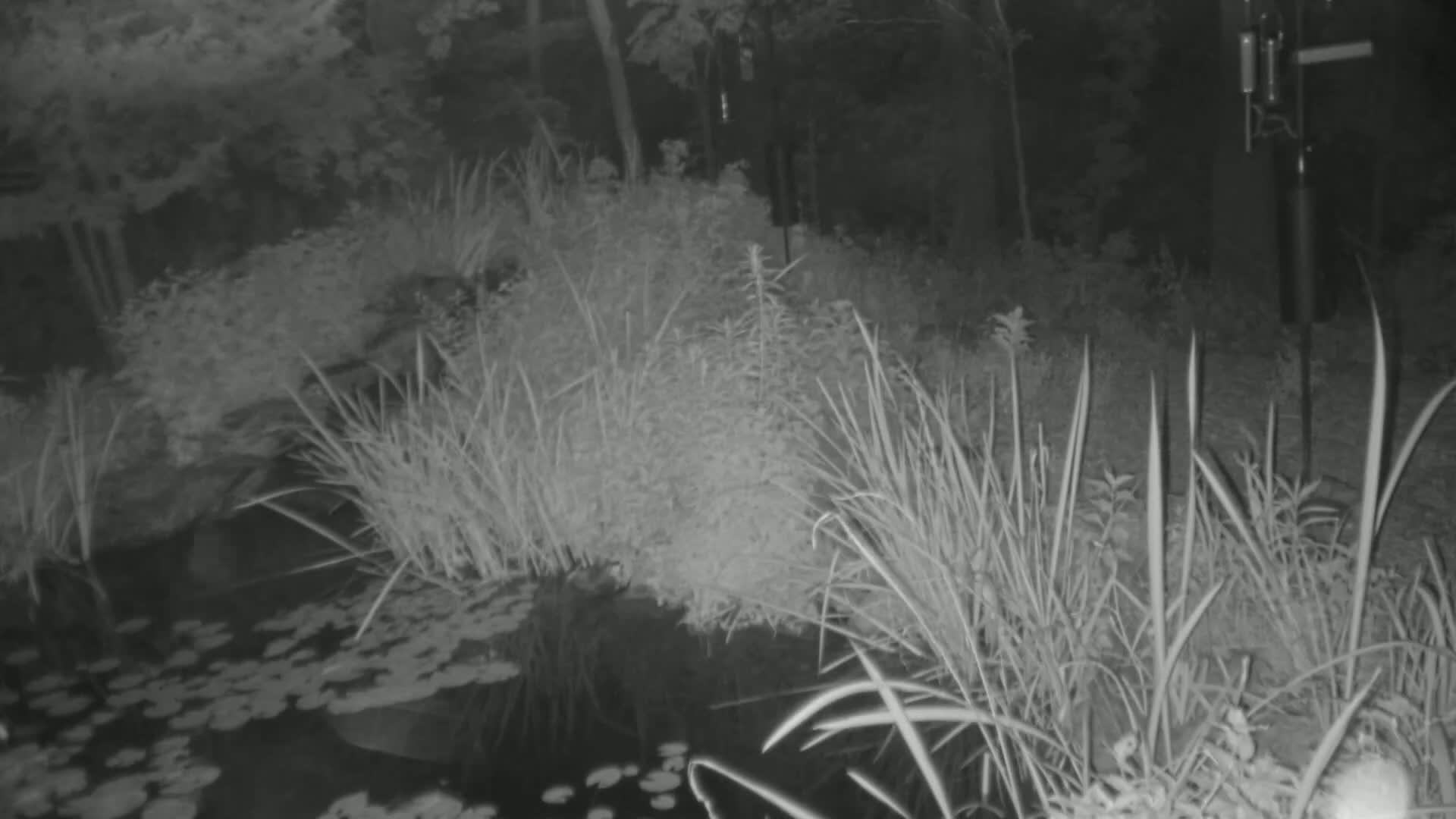 Bloomington, Richardson Nature Center Live Cam – Bloomington, Hennepin, Minnesota, USA