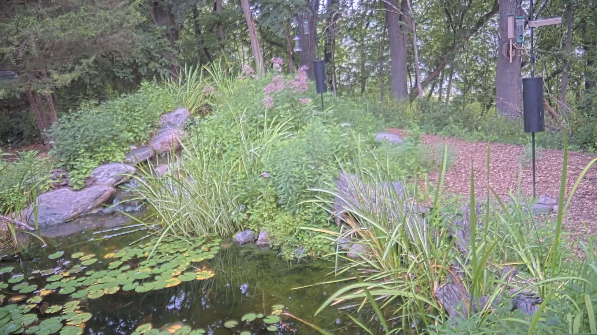 Bloomington, Richardson Nature Center Live Cam – Bloomington, Hennepin, Minnesota, USA