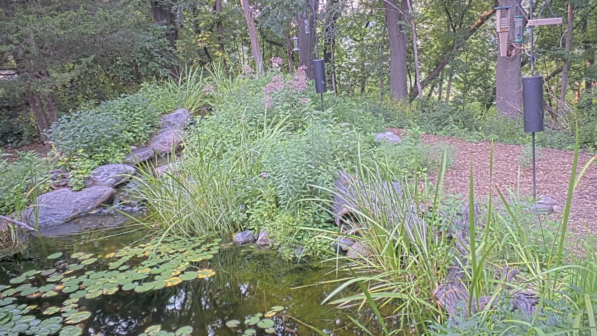 Bloomington, Richardson Nature Center Live Cam – Bloomington, Hennepin, Minnesota, USA