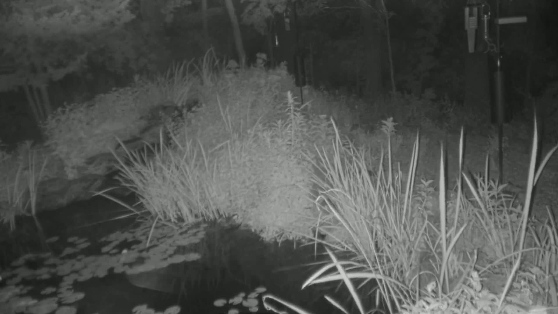 Bloomington, Richardson Nature Center Live Cam – Bloomington, Hennepin, Minnesota, USA