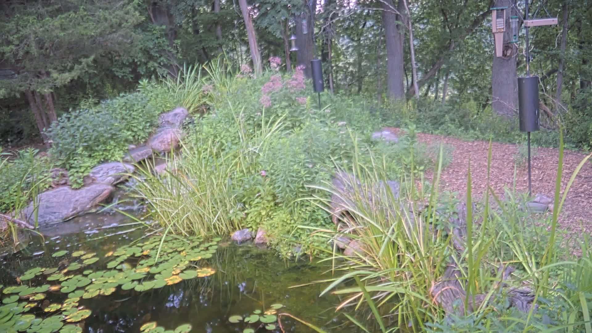 Bloomington, Richardson Nature Center Live Cam – Bloomington, Hennepin, Minnesota, USA