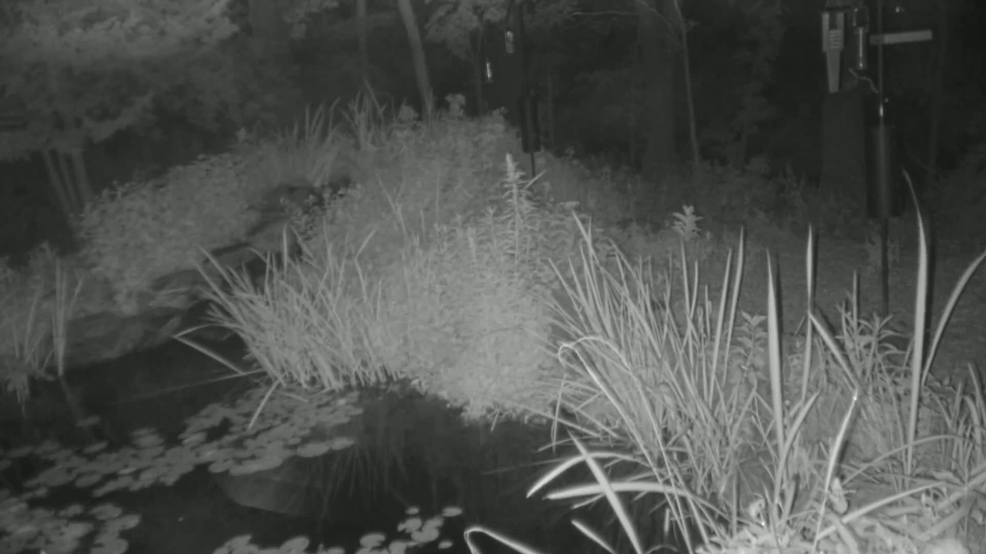 Bloomington, Richardson Nature Center Live Cam – Bloomington, Hennepin, Minnesota, USA