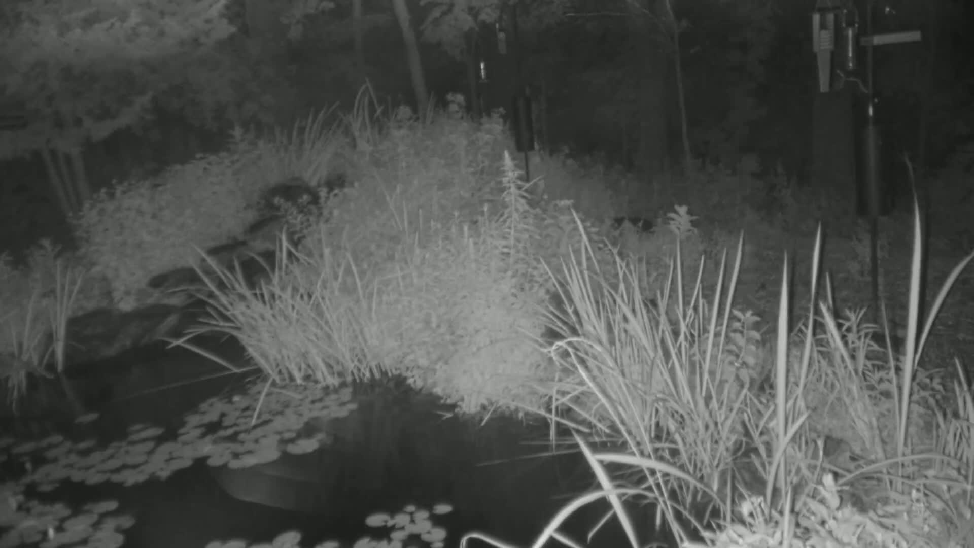 Bloomington, Richardson Nature Center Live Cam – Bloomington, Hennepin, Minnesota, USA