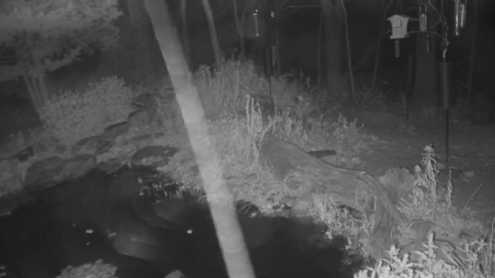 Bloomington, Richardson Nature Center Live Cam – Bloomington, Hennepin, Minnesota, USA