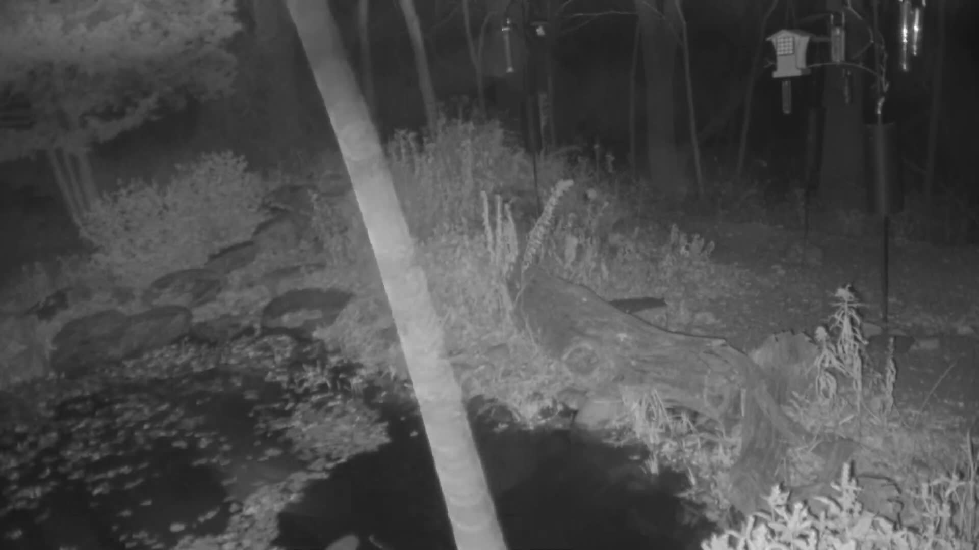 Bloomington, Richardson Nature Center Live Cam – Bloomington, Hennepin, Minnesota, USA