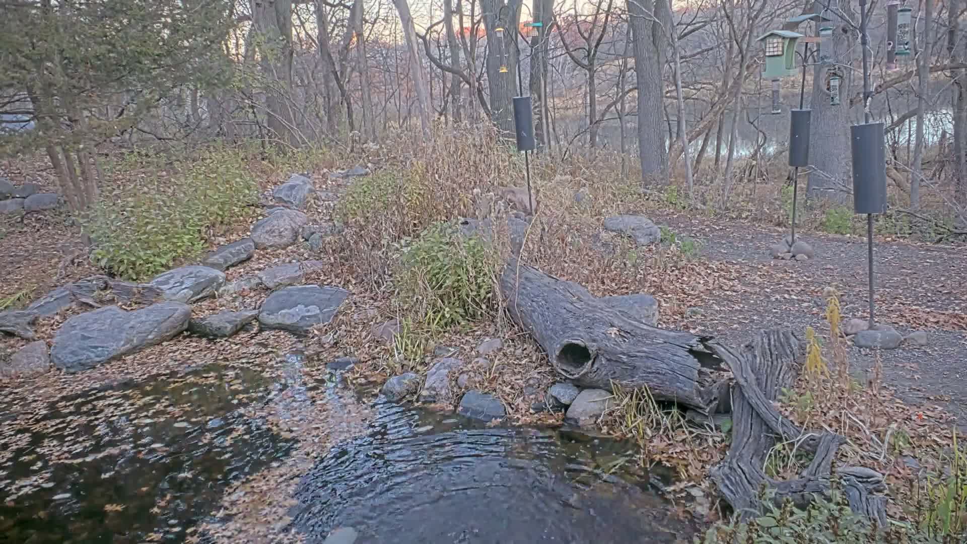 Bloomington, Richardson Nature Center Live Cam – Bloomington, Hennepin, Minnesota, USA