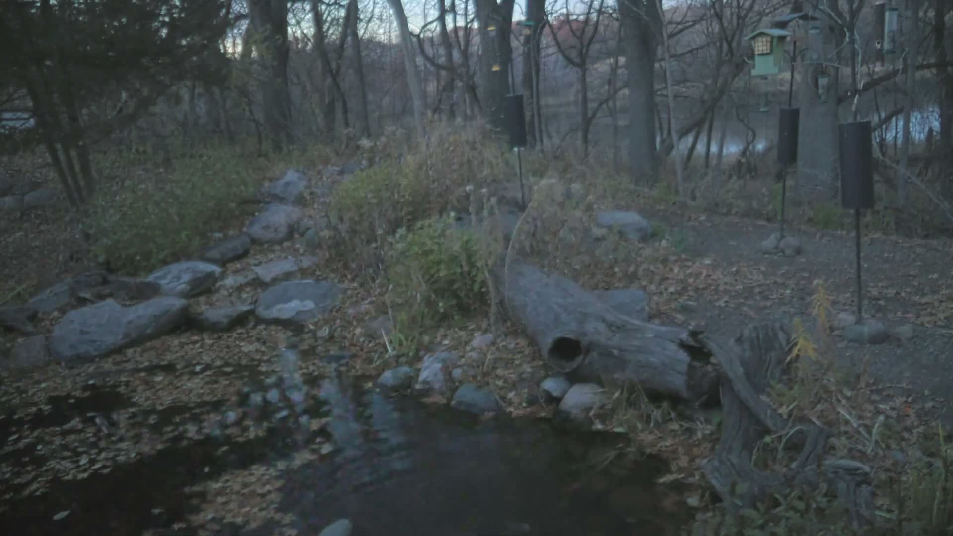 Bloomington, Richardson Nature Center Live Cam – Bloomington, Hennepin, Minnesota, USA